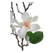 Umělá větvička Magnolie bílá, 64 cm