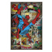 Plakát Marvel Comics - Spider-Man Ret (225)