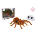 Tarantule RC na dálkové ovládání 24 cm - český obal