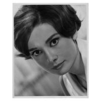 Fotografie Audrey Hepburn, Archive Photos, 30 × 40 cm