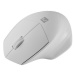 Natec optická myš SISKIN 2/1600 DPI/Kancelářská/Optická/Pro praváky/Bezdrátová USB + Bluetooth/B