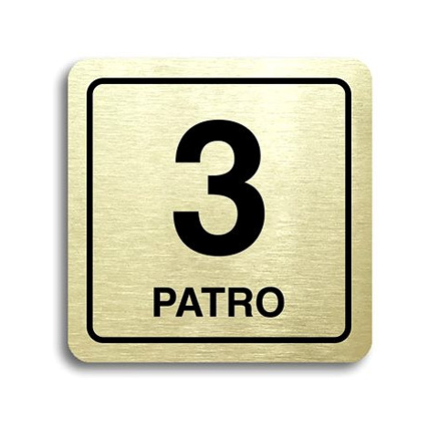 Accept Piktogram "3 patro" (80 × 80 mm) (zlatá tabulka - černý tisk)