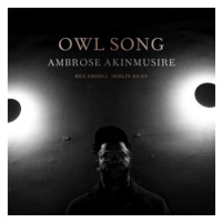 Akinmusire Ambrose: Owl Song (feat. Bill Frisell & Herlin Riley)