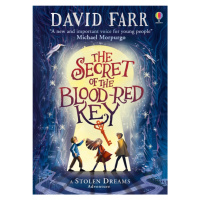 The Secret of the Blood-Red Key Usborne Publishing