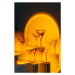 Fotografie Kaleidoscope martini cocktail in orange neon, Nitas, 26.7 × 40 cm