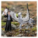 Schleich 13988 Harry Potter - Hypogrif Klofan