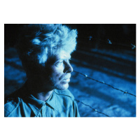 Fotografie Merry Christmas Mr Lawrence: David Bowie, 1983, 40 × 30 cm