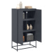 vidaXL Skříň highboard antracitová 68,5 x 38,5 x 123,5 cm ocel