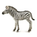 Collecta Divoká zvírátka zebra