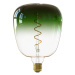 Calex Calex Kiruna LED žárovka E27 5W filament dim zeleň