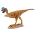 Collecta oviraptor