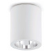 FARO Barcelona FARO 63124 - Stropní svítidlo POTE 1xE27/60W/230V