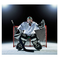 Fotografie Ice hockey goal keeper in front of goal, Robert Decelis, (40 x 35 cm)
