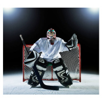 Fotografie Ice hockey goal keeper in front of goal, Robert Decelis, 40 × 40 cm