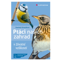 Kniha: Ptáci našich zahrad od Straußová Daniela