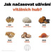 BrainMax Pure Shiitake prášek, BIO, 100g *CZ-BIO-001 certifikát