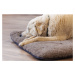 Petlando Chillermat polštářek pro psy, barva kapučína S 60 × 40 × 5 cm