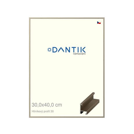 DANTIK rámeček 30 × 40, ALU profil 6030 champagne plexi čiré