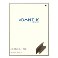 DANTIK rámeček 30 × 40, ALU profil 6030 champagne plexi čiré