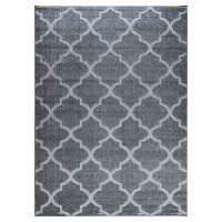 Berfin Dywany Kusový koberec Lagos 1052 Grey (Silver) - 80x150 cm