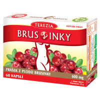 TEREZIA BrusLinky cps.60