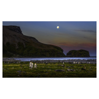 Fotografie Moonrise, Hung tsui, 40x24.6 cm