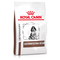 Royal Canin Veterinary Canine Gastrointestinal Puppy - 2,5 kg