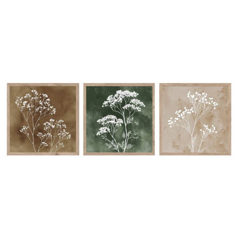 Obrazy v sadě 3 ks 30x30 cm Floral Imprint – Styler