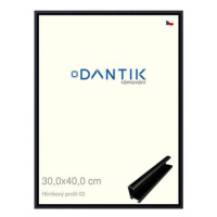 DANTIK rámeček 30 × 40, ALU profil 7002 Černý matný plexi čiré