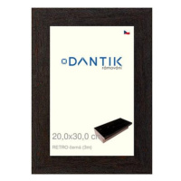 DANTIK rámeček 20 × 30, RETRO černý sklo čiré