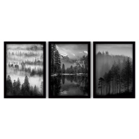 Obrazy v sadě 3 ks 35x45 cm Black & White – Wallity
