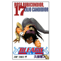 Bleach 17