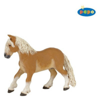 Poník Haflinger