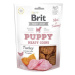 Brit Jerky Puppy Turkey Meaty Coins 80g