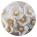 Cukrové květinky bílé 10ks - K Decor