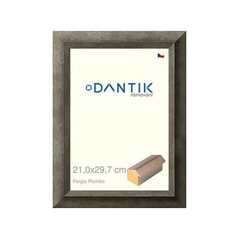 DANTIK rámeček 21 × 29,7, Forgia Piombo sklo čiré