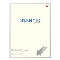 DANTIK rámeček 30 × 40, ALU profil 6001 Stříbrný lesklý plexi čiré