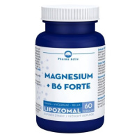 MAGNESIUM + B6 FORTE LIPOZOMAL tob.60