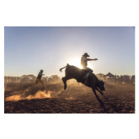 Ilustrace Dust flying at a rodeo in, David Trood, 40x26.7 cm