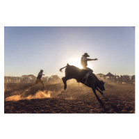 Ilustrace Dust flying at a rodeo in, David Trood, 40 × 26.7 cm