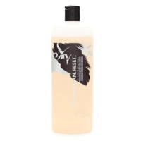 SEBASTIAN PROFESSIONAL Reset Shampoo hloubkově čisticí šampon pro všechny typy vlasů 1000 ml