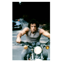 Fotografie Sylvester Stallone, 26.7 × 40 cm