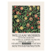 Obrazová reprodukce Dark Fruits (Special Edition) - William Morris, 30x40 cm