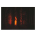 Umělecká fotografie Forest Fire, Milamai, (40 x 26.7 cm)