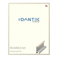 DANTIK rámeček 40 × 50, ALU profil 6035 Dýha slonová kost plexi čiré