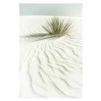 Plakát, Obraz - Melanie Viola - White sands, 40 × 60 cm