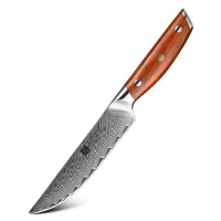 Steakový nůž XinZuo Yi B27 5