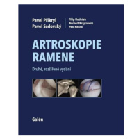 Artroskopie ramene