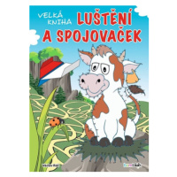 Velká kniha luštění a spojovaček - Václav Ráž