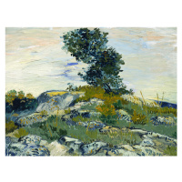 Obrazová reprodukce The Rocks & The Oak, Vincent van Gogh, 40 × 30 cm